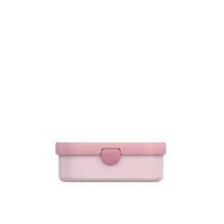 Lunchbox Fairy Garden