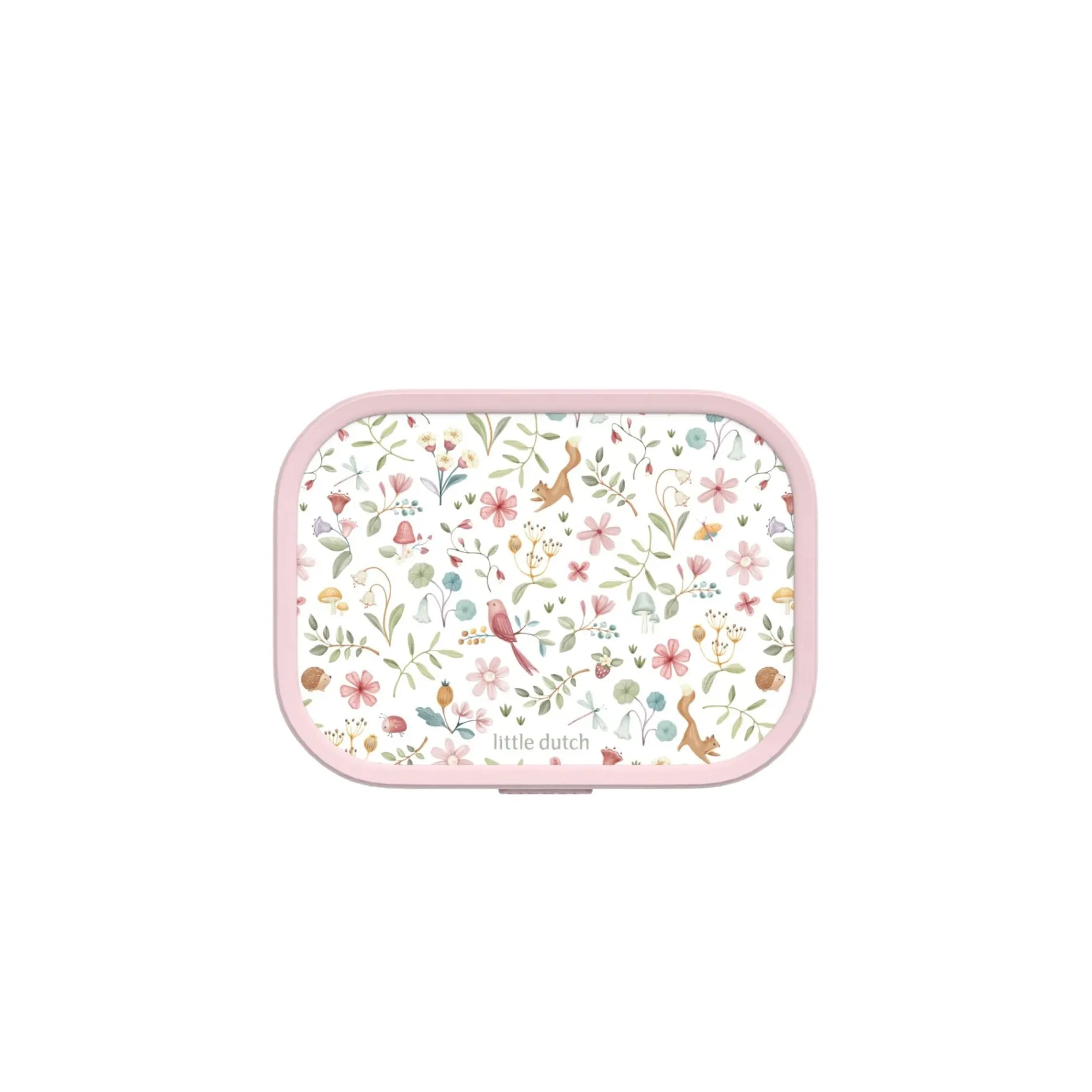 Lunchbox Fairy Wonders