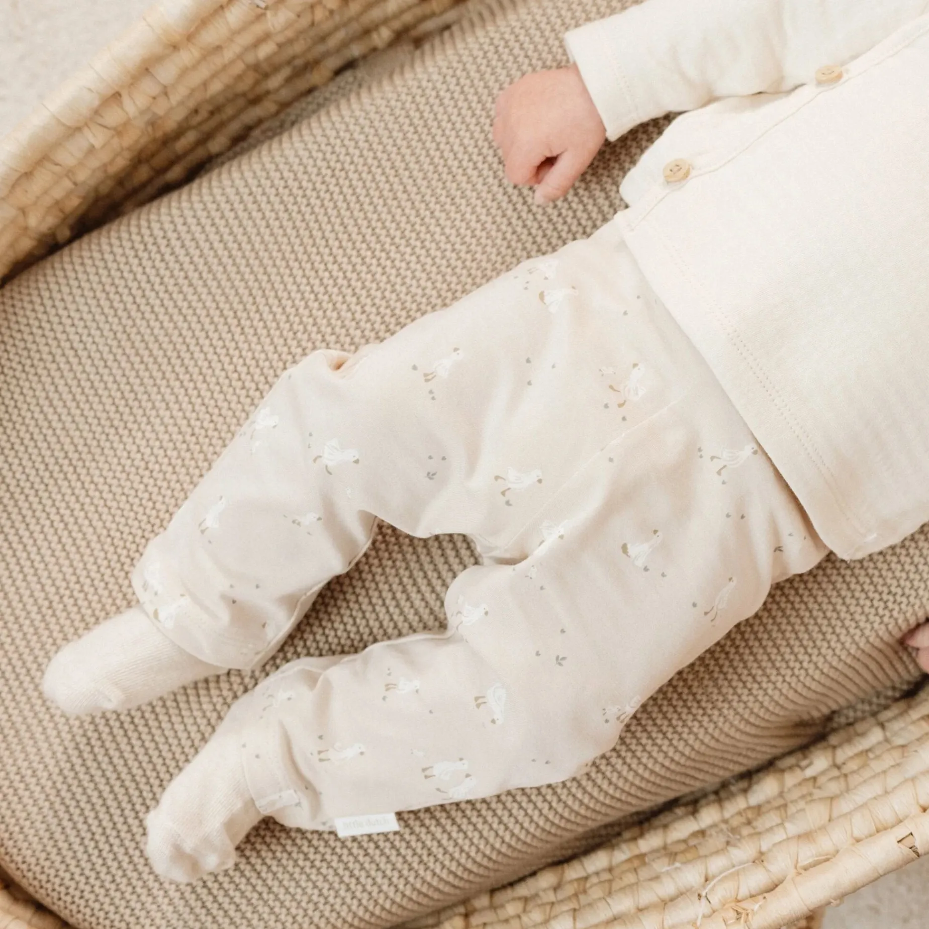 3-pack sokken - Meerkleurig - Newborn Naturals - Little Goose