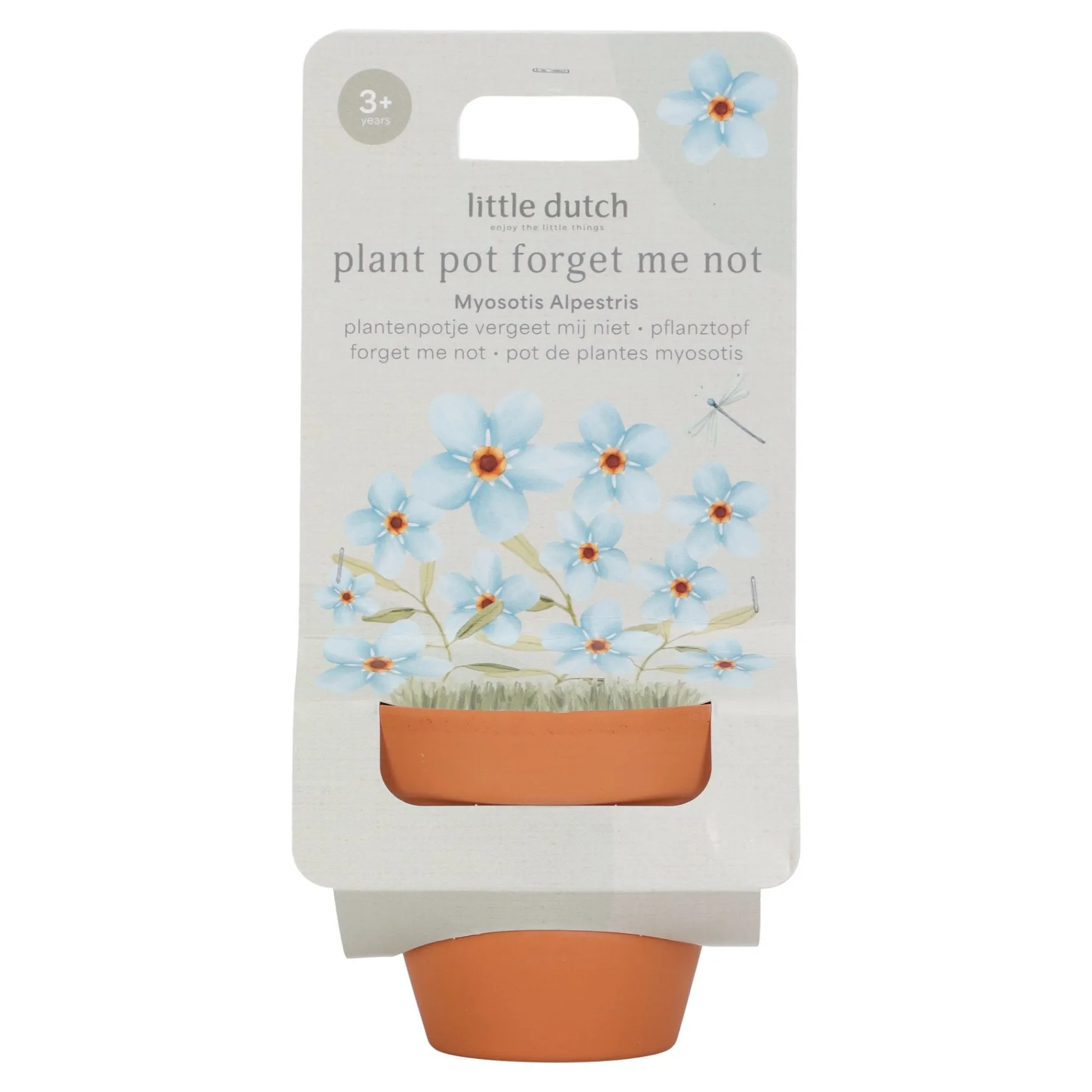 Plantenpotje - Vergeet-mij-nietje