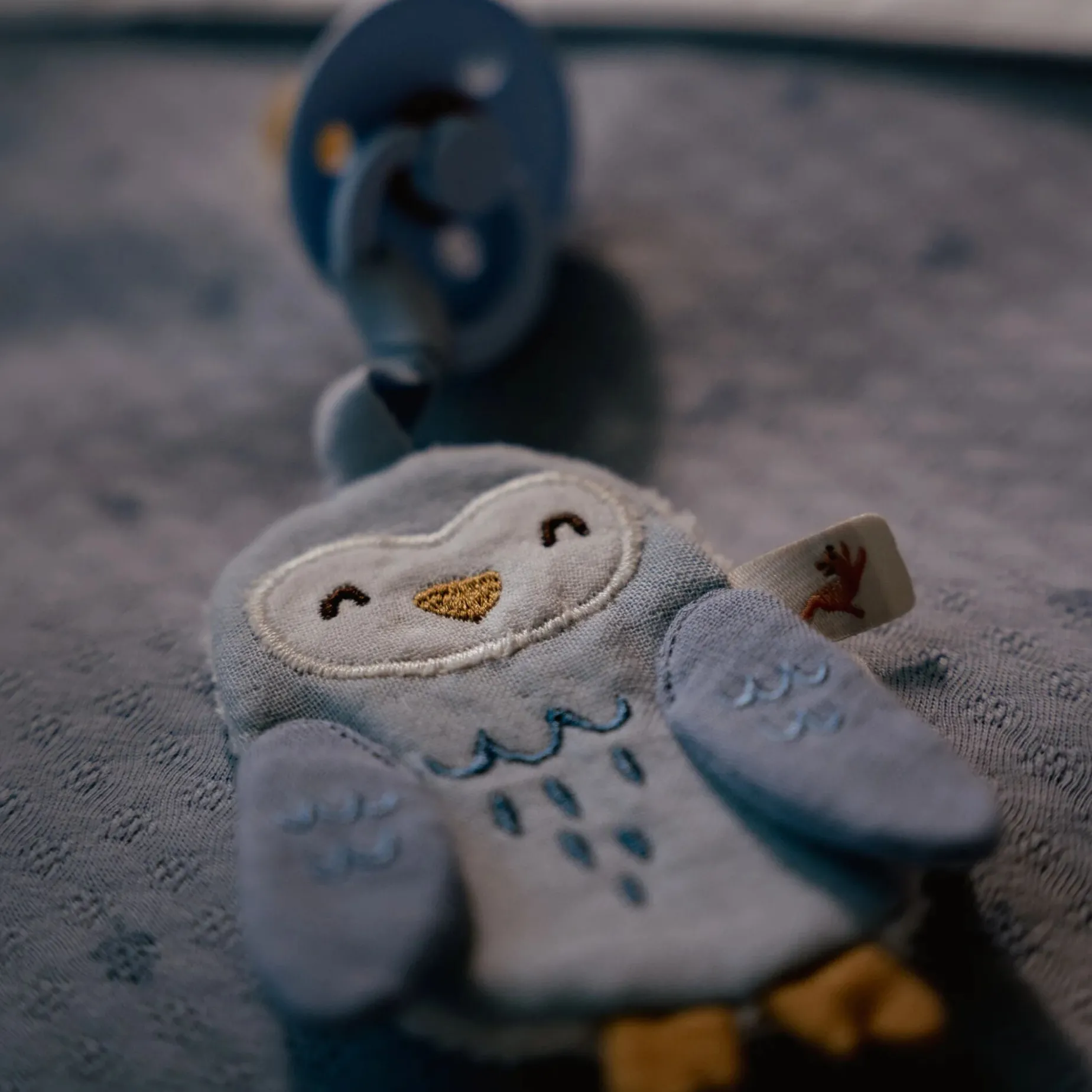 Speendoekje - Blauw - Forest Friends